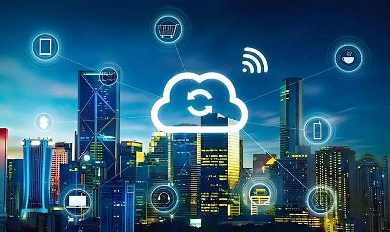 定制管理信息系统：选择与考量
